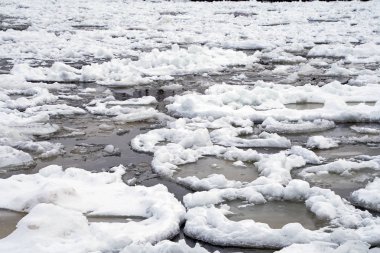 Kışın Michigan Gölü yüzen dairesel gözleme buz oluşumu