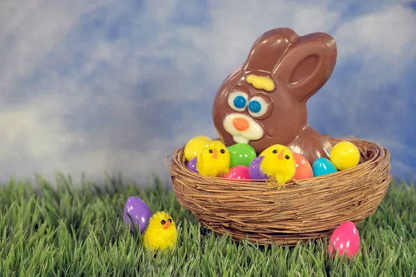 Chocolate Easter Bunny Yellow Chicks Colorful Eggs Nest Grass — Stock Photo, Image