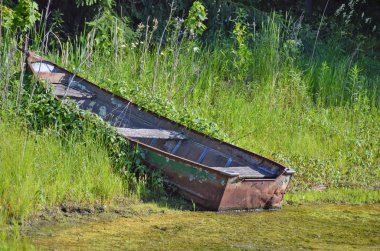 gölet weeds eski paslı sıralı tekne