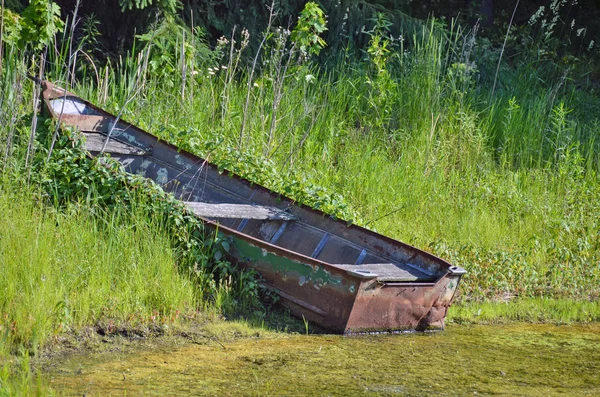 池の雑草の古い錆びた列のボート — ストック写真