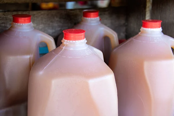 Apple Cider Plastic Gallon Jugs Farmers Market — Stock Photo, Image