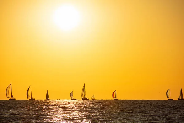 Regata Vela Lago Michigan Con Resplandor Del Atardecer — Foto de Stock