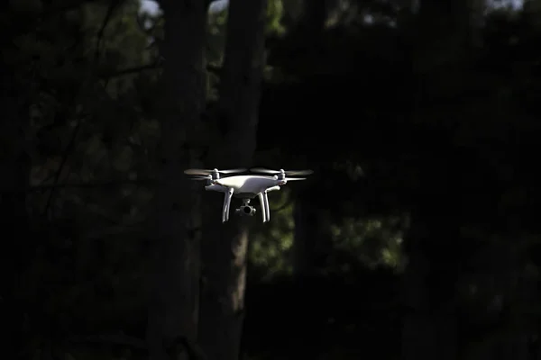 Hovering Drone Camera Night Forest — Stock Photo, Image