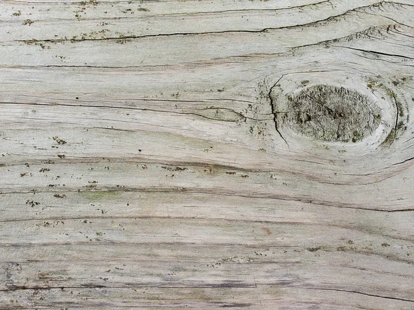 Bliska Wywietrzonego Drewna Abstrakcyjnym Projektem Węzłów — Zdjęcie stockowe