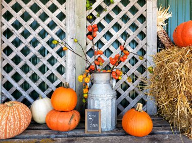 sonbahar kabak ve eski metal süt olabilir dekoratif kabak sapları ve çiftçilerin pazar ekranda tebeşir işareti ile