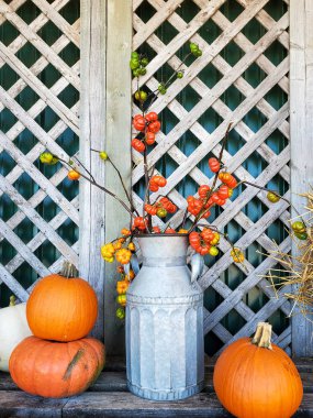 Süt kutusu süslemeli sonbahar balkabakları
