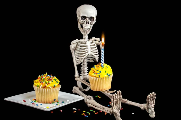 Esqueleto Segurando Cupcake Aniversário Com Geada Amarela Polvilhas Isoladas Preto — Fotografia de Stock