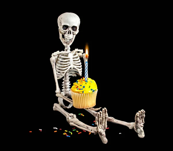 黄色の霜降りと黒の上に隔離されたスプリンクル付きの誕生日カップケーキを持っているスケルトン — ストック写真