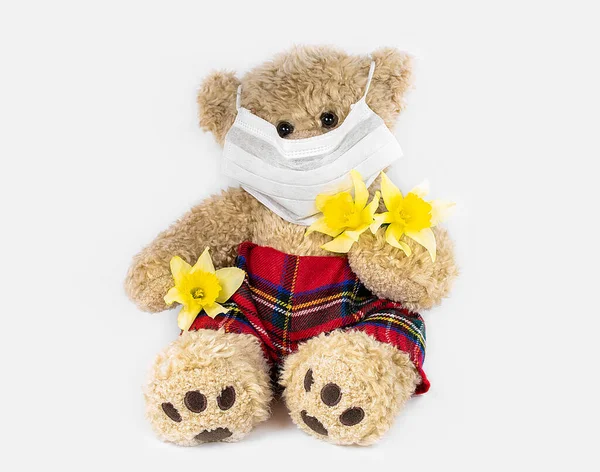 Bruine Teddybeer Met Medisch Masker Narcis — Stockfoto