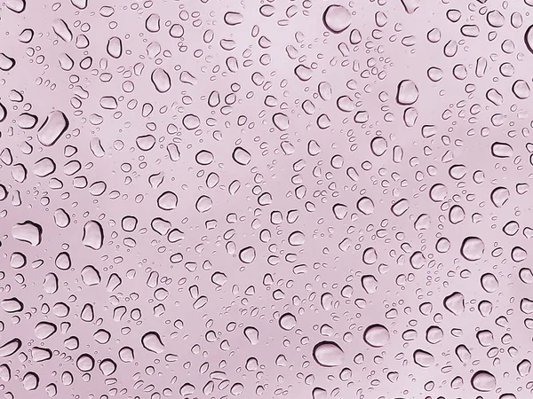 Allık pembe arkaplandaki yağmur damlalarını kapat