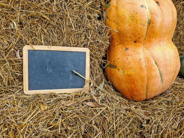 Big Orange Autumn Pumpkin Hay Bale Blank Black Chalkboard — Stock Photo, Image