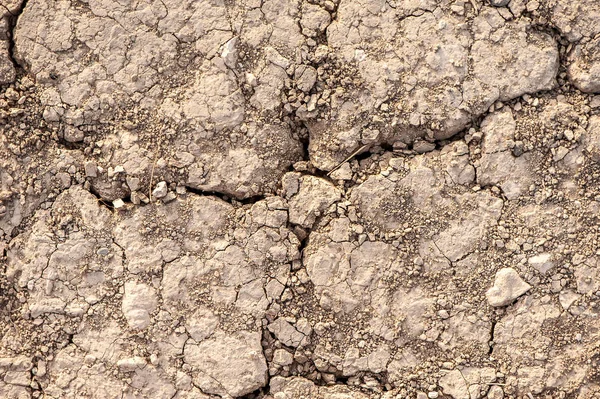 Texture Scorching Sand Earth — Stock Photo, Image