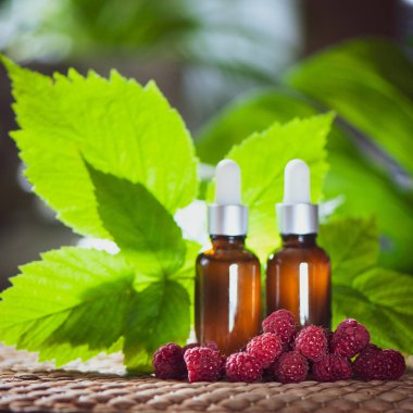 Şişe ile ahududu yağı, taze çilek ve ahududu yaprakları doğal yeşil bir arka plan üzerinde