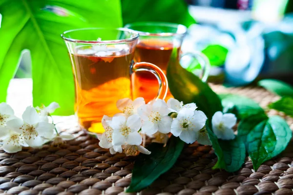Чай Жасмином Две Чашки Чая Естественном Фоне Зеленых Листьев Жасминовыми — стоковое фото