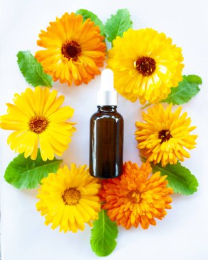 Şişeler çiçek calendula yağ, düz ile bio, organik, doğal kozmetik kavramı yatıyordu