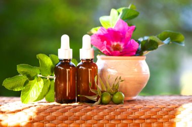 Kuşburnu yağı ve taze dalları, şişeler çiçek doğal yeşil bir arka plan üzerinde bio, organik, doğal kozmetik kavramı