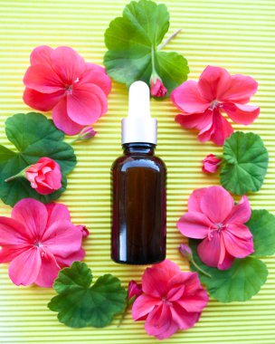 Şişe Sardunya yağı, düz ile bio, organik, doğal kozmetik kavramı yatıyordu