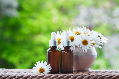 Şişe papatya yağı, taze çiçek papatya ve doğal yeşil arka plan, bio, organik, doğal kozmetik kavramı yapraklarda