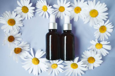 Papatya yağı, düz ile şişe, bio, organik, doğal kozmetik kavramı yatıyordu