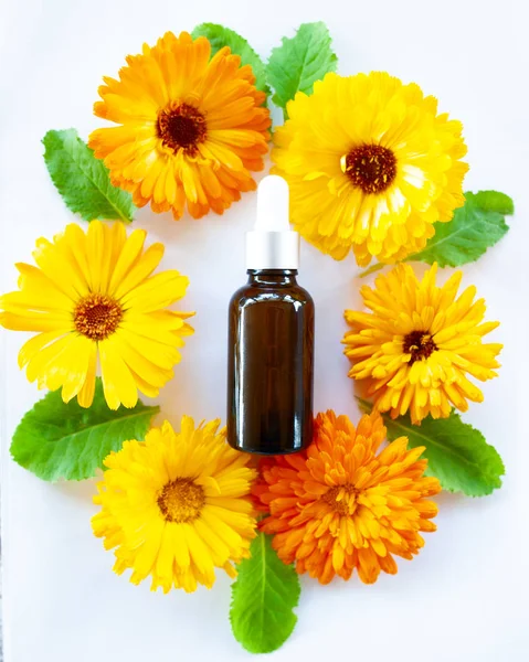 Şişeler çiçek calendula yağ, düz ile bio, organik, doğal kozmetik kavramı yatıyordu