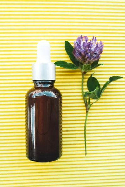 Yonca petrol, düz ile şişe, bio, organik, doğal kozmetik kavramı yatıyordu