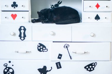 Fantastik kara kedi uyku, Alice in Wonderland Tema
