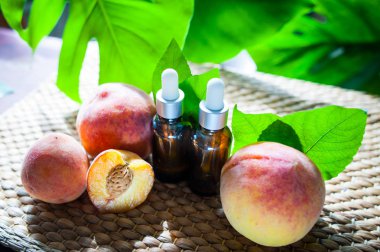 Şeftali yağı, taze Şeftali meyve bütün ve doğal tropikal arka plan üzerinde yarım şişe. Homeopatik ve bitkisel tıp.