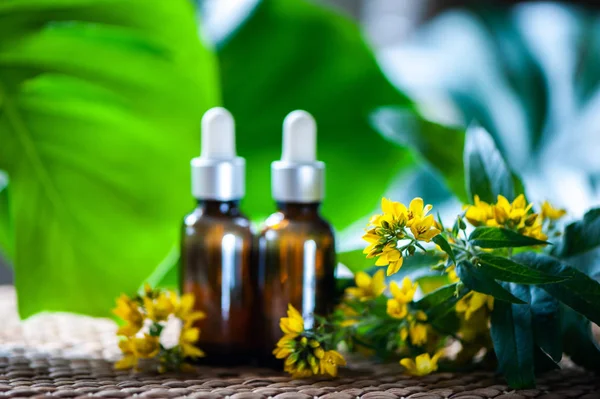 Bottles John Wort Extract Flowers Hypericum Organic Cosmetics Herbal Extracts — Stock Photo, Image