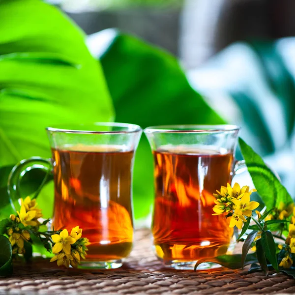 Травяной Чай Сусла Джона Органический Чай Экстрактами Гиперикума — стоковое фото