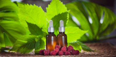 Şişe ile ahududu yağı, taze çilek ve ahududu yaprakları doğal yeşil bir arka plan üzerinde