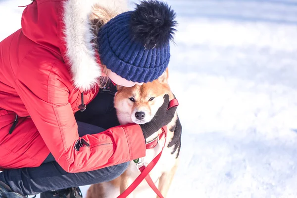 Dziewczyna Embosom Pies Jej Ramiona Pojęcie Przyjaźni Między Psem Człowiekiem — Zdjęcie stockowe
