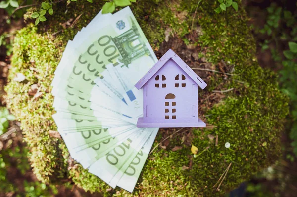 House and money euro. The concept of buying a house, a dream about your home