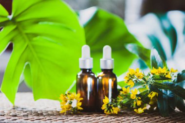 St John's wort ile şişe ayıklamak ve Hypericum, organik kozmetik bitkisel özler ile çiçekler 