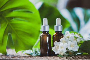 Esasen Yasemin yağı. Bioproduct, organik kozmetik. Parfüm, kozmetoloji, aromaterapi.