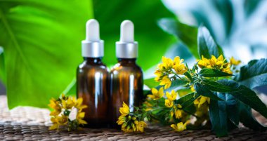 St John's wort ile şişe ayıklamak ve Hypericum, organik kozmetik bitkisel özler ile çiçekler 