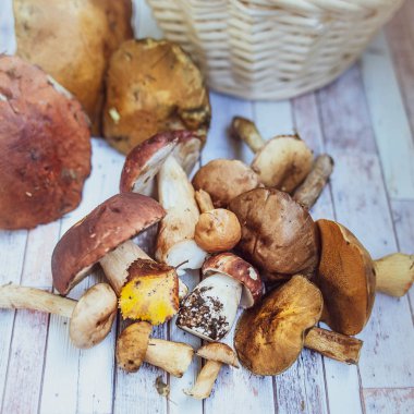 Mantar tablo, sonbahar, mantar arka plan, porcini ve kahverengi kap çörek