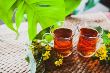 St john's wort yapılan bitkisel çay, bitkisel Hypericum ile organik çay özleri 