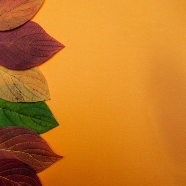 Sonbahar backgraund, renkli kavramı turuncu bir arka plan üzerinde bırakır. Yukarıdan görüntülemek, yat, metin için yer 