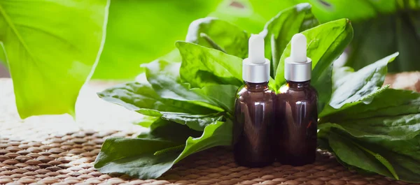 Muz yaprakları tarafından çevrili muz petrol şişe. Homeopatik ve bitkisel tıp.