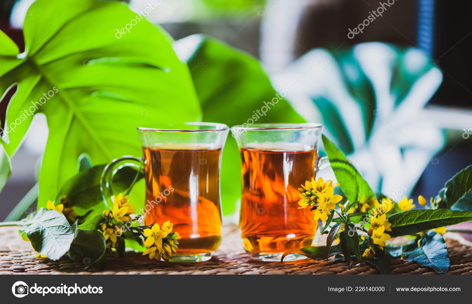 Herbal Tea Made John's Wort Organic Tea Herbal Hypericum Extracts Stock