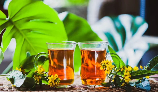 Βότανα Τσάι Παρασκευάζεται Από Wort Του Ιωάννη Βιολογικό Τσάι Βότανα — Φωτογραφία Αρχείου