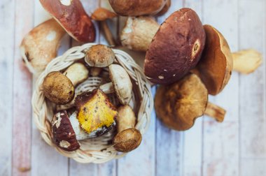 Mantar tablo, düz yatıyordu, sonbahar, mantar arka plan üstten görünüm, porcini ve kahverengi kap çörek, metin için yer