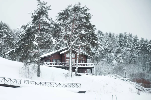 Mansion, house on a winter landscape in a snow-covered forest