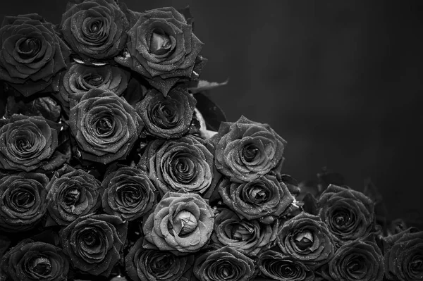 büyük demet kırmızı gül, siyah ve beyaz fotoğraf tebrik kartı, Sevgililer günü, Doğum günü, aşk