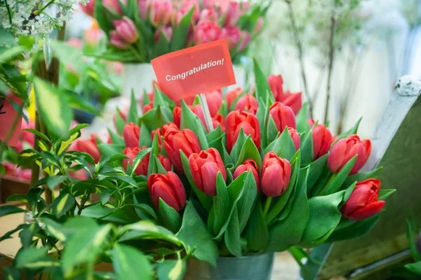 Elegantní kytice červených tulipánů s nápisem blahopřání — Stock fotografie