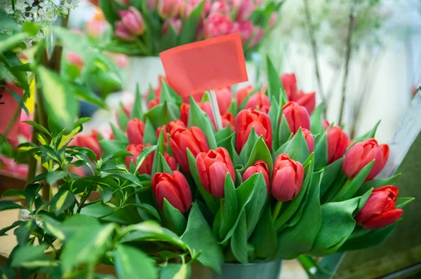 Buquê chique de tulipas vermelhas com um copyspace sinal, Olá Primavera a — Fotografia de Stock