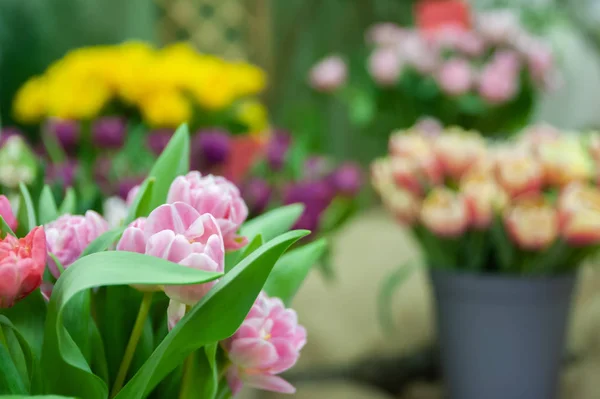 Loja de flores, venda de flores. Tulipas rosa delicadas em um balde s — Fotografia de Stock