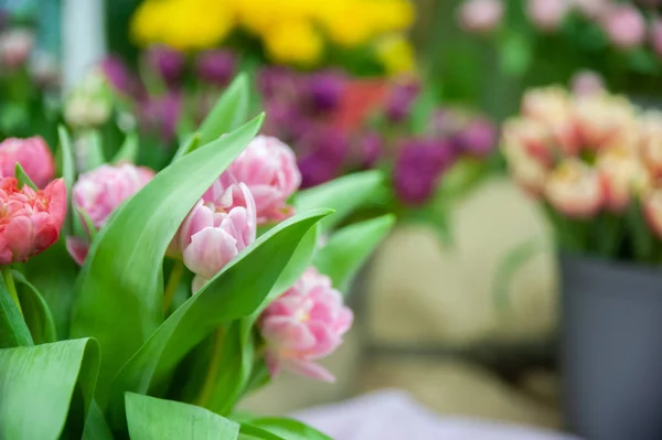 Delicados tulipanes rosados en un cubo rodeado de otras flores. Sp —  Fotos de Stock