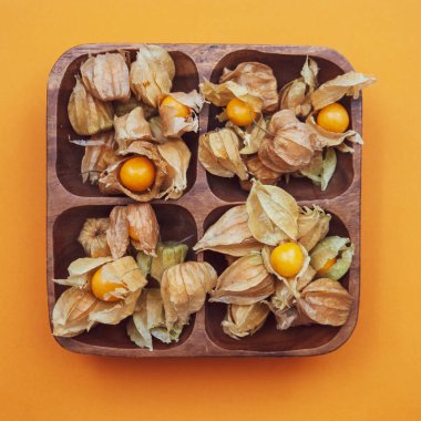 Physalis , turuncu arka plan üzerinde altın bektaşi üzümü, düz yatıyordu 