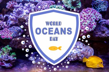 Dünya Okyanus Günü. Yazılı fotoğraf ve illüstrasyon.  